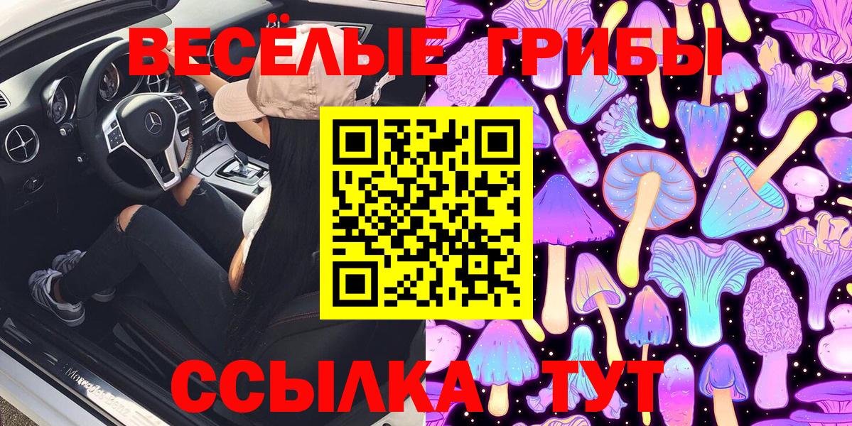 Псилоцибиновые грибы GOLDEN TEACHER Кубинка